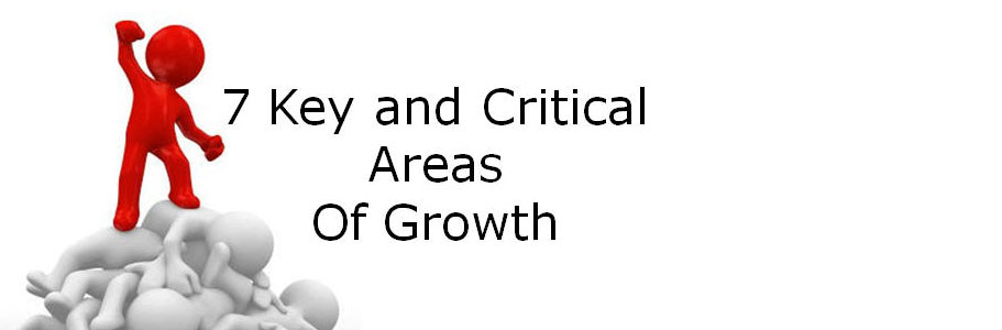 7 Key Areas of Growth For Your Business